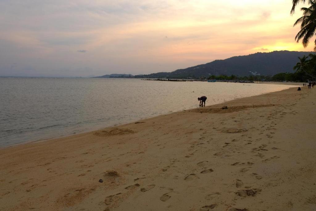 Rose Garden Samui Bungalows Lamai Beach  Екстер'єр фото